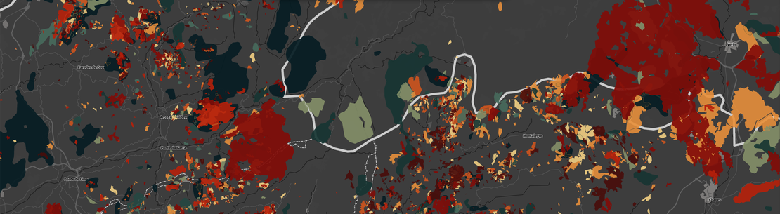 Europe, a Decade Shaped by Wildfires